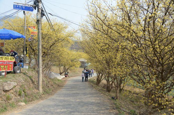 Summary of South Korea April Celebrations